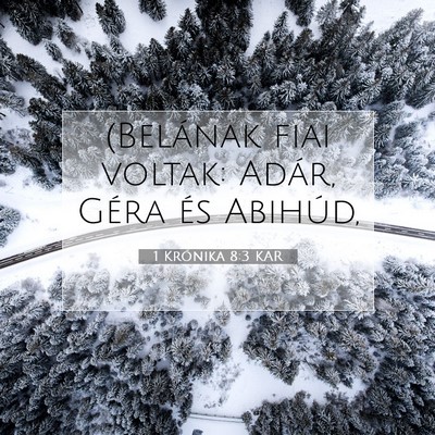 1 Krónika 8:3 KAR Bibliai verskép