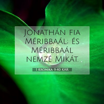 1 Krónika 9:40 KAR Bibliai verskép