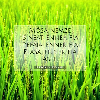 1 Krónika 9:43 KAR Bibliai verskép