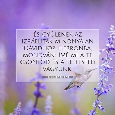 1 Krónika 11:1 KAR Bibliai verskép