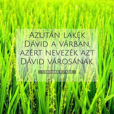 1 Krónika 11:7 KAR Bibliai verskép