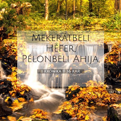 1 Krónika 11:36 Bibliai vers magyarázata