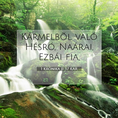 1 Krónika 11:37 KAR Bibliai verskép