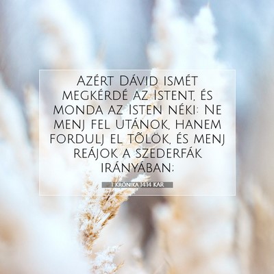 1 Krónika 14:14 KAR Bibliai verskép