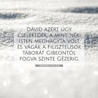 1 Krónika 14:16 KAR Bibliai verskép