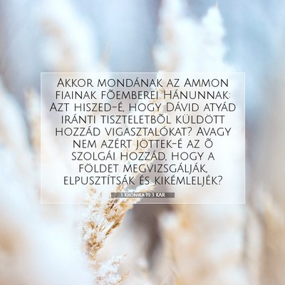 1 Krónika 19:3 KAR Bibliai verskép