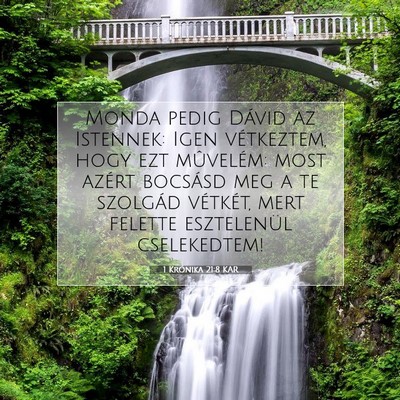 1 Krónika 21:8 KAR Bibliai verskép