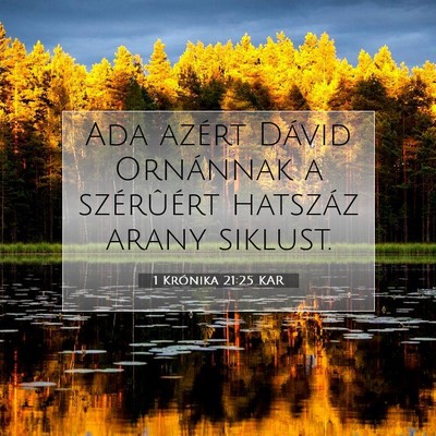 1 Krónika 21:25 Bibliai vers magyarázata