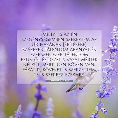 1 Krónika 22:14 KAR Bibliai verskép