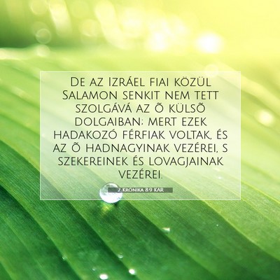 2 Krónika 8:9 KAR Bibliai verskép