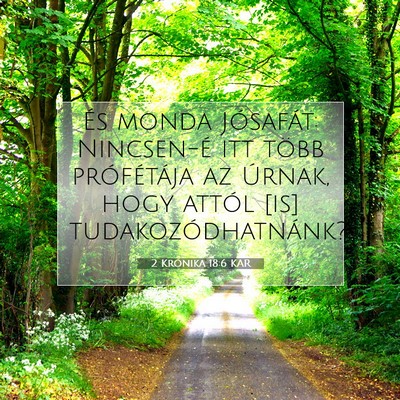 2 Krónika 18:6 KAR Bibliai verskép