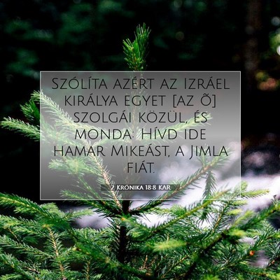 2 Krónika 18:8 KAR Bibliai verskép