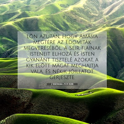 2 Krónika 25:14 Bibliai vers magyarázata
