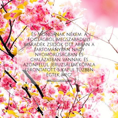 Nehémiás 1:3 KAR Bibliai verskép