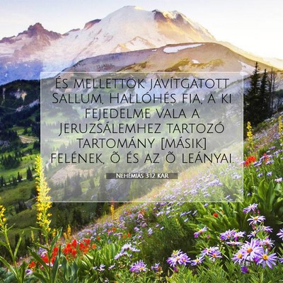 Nehémiás 3:12 KAR Bibliai verskép