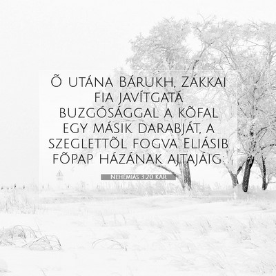 Nehémiás 3:20 KAR Bibliai verskép