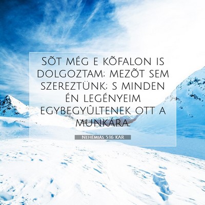 Nehémiás 5:16 KAR Bibliai verskép