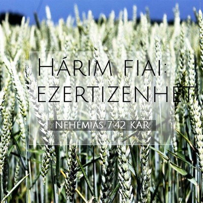 Nehémiás 7:42 KAR Bibliai verskép