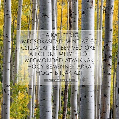 Nehémiás 9:23 KAR Bibliai verskép