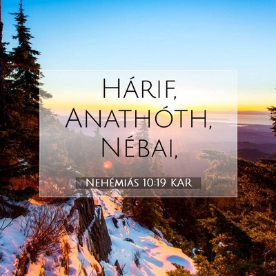 Nehémiás 10:19 Bibliai vers magyarázata