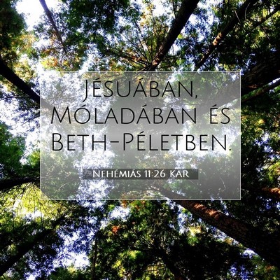 Nehémiás 11:26 KAR Bibliai verskép