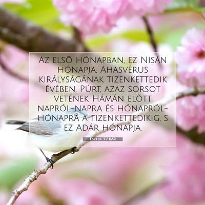 Eszter 3:7 Bibliai vers magyarázata