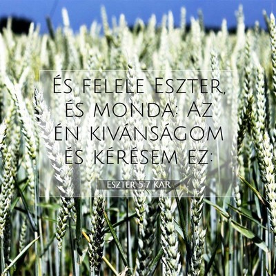 Eszter 5:7 Bibliai vers magyarázata