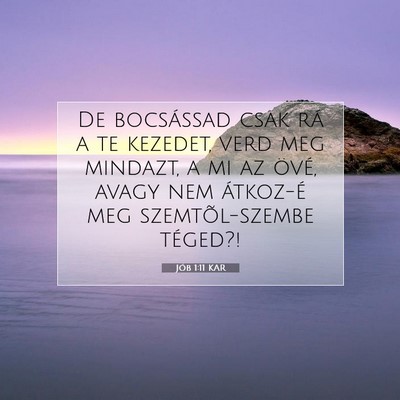 Jób 1:11 Bibliai vers magyarázata