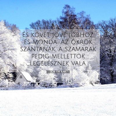 Jób 1:14 Bibliai vers magyarázata