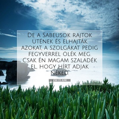 Jób 1:15 Bibliai vers magyarázata