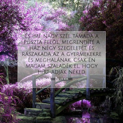 Jób 1:19 Bibliai vers magyarázata