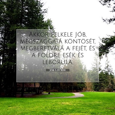 Jób 1:20 Bibliai vers magyarázata