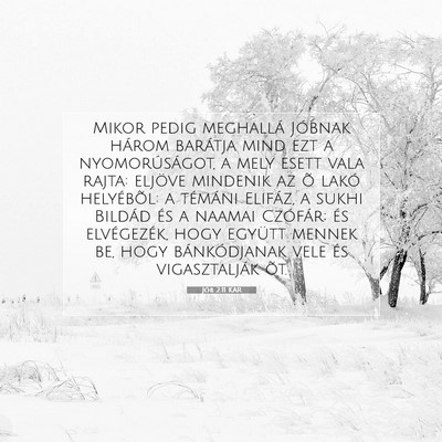 Jób 2:11 KAR Bibliai verskép