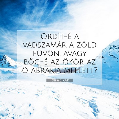 Jób 6:5 KAR Bibliai verskép