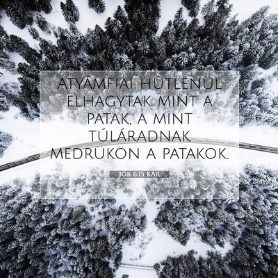 Jób 6:15 KAR Bibliai verskép