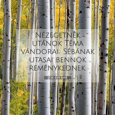 Jób 6:19 KAR Bibliai verskép
