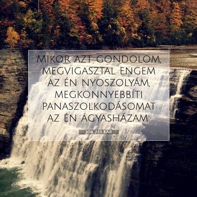 Jób 7:13 KAR Bibliai verskép