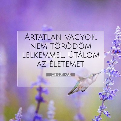 Jób 9:21 KAR Bibliai verskép