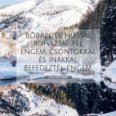 Jób 10:11 Bibliai vers magyarázata