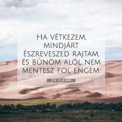 Jób 10:14 KAR Bibliai verskép