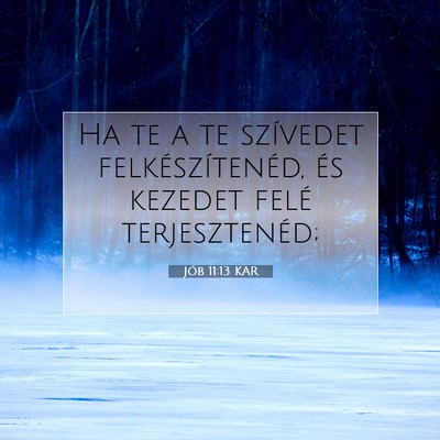 Jób 11:13 KAR Bibliai verskép