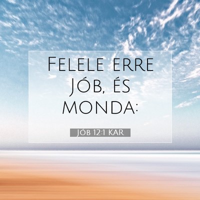 Jób 12:1 Bibliai vers magyarázata