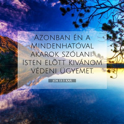 Jób 13:3 KAR Bibliai verskép