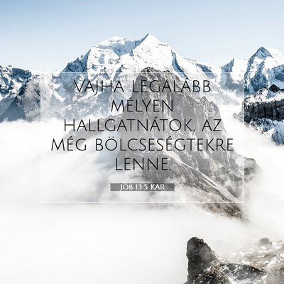 Jób 13:5 KAR Bibliai verskép