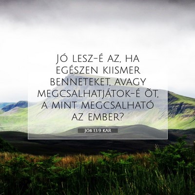 Jób 13:9 KAR Bibliai verskép