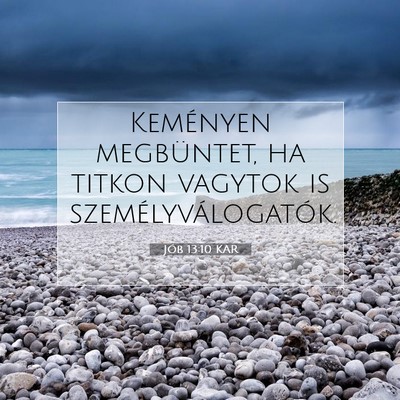 Jób 13:10 KAR Bibliai verskép