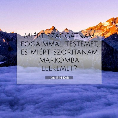 Jób 13:14 KAR Bibliai verskép