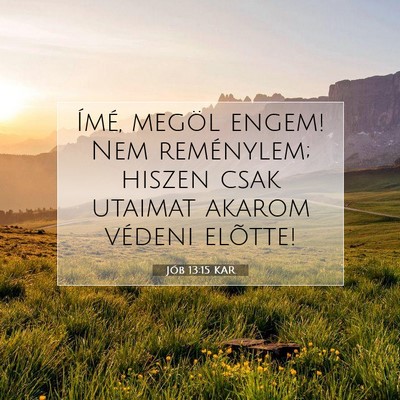 Jób 13:15 KAR Bibliai verskép