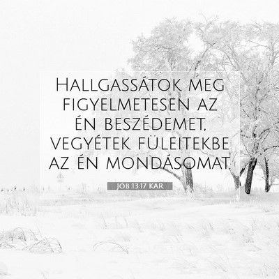 Jób 13:17 Bibliai vers magyarázata