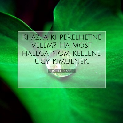 Jób 13:19 KAR Bibliai verskép
